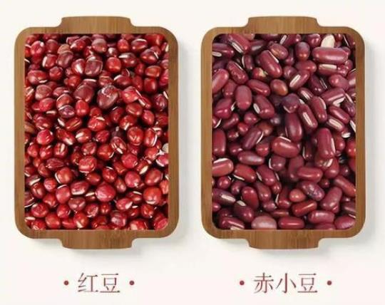 薏米红小豆的功效与作用