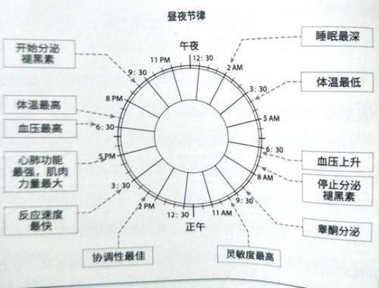 一个好睡眠所需要的8种基本营养素