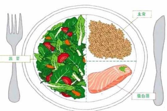 满足4条营养原则 才是好午餐！