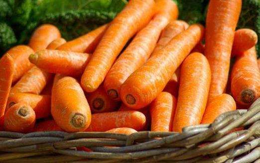 胡萝卜里有哪些可以防癌的物质