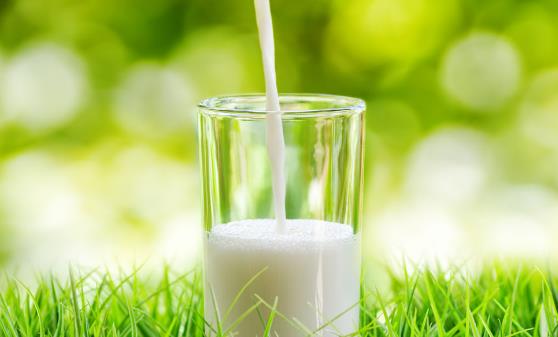 牛奶喝法不对会让健康大打折扣 应当因人而异适度适量