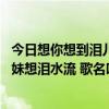 想你想到泪儿流是什么歌里的歌词  想你想到泪儿流是什么歌曲