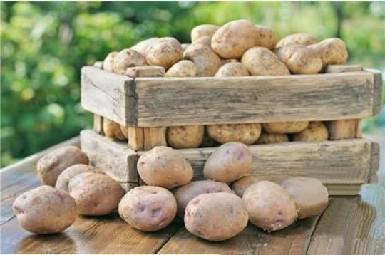 秋季吃土豆有三大好处