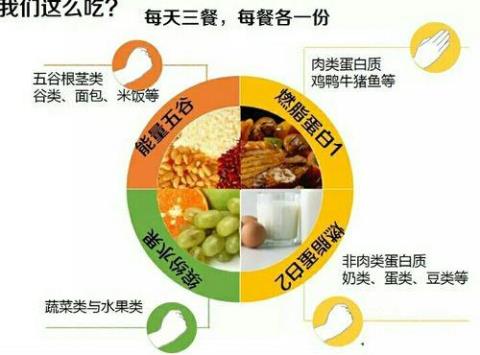 好的饮食原则 饮食原则四注意包括什么